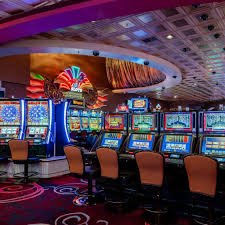 betmexico gaming platform